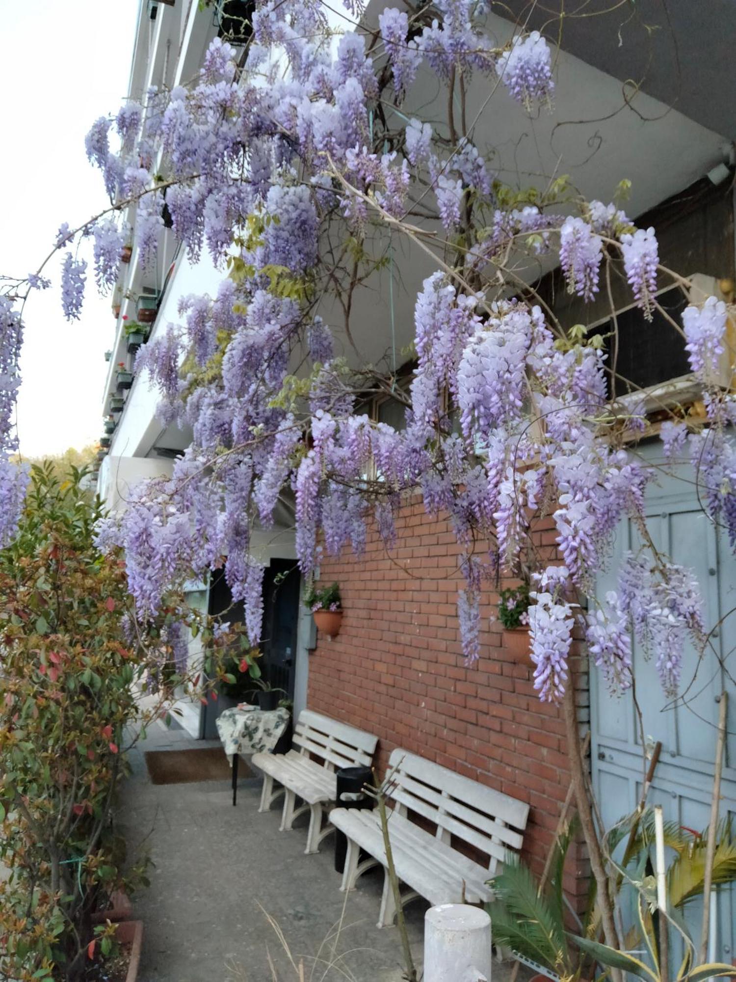 Hotel Lombardia Seveso Exteriör bild