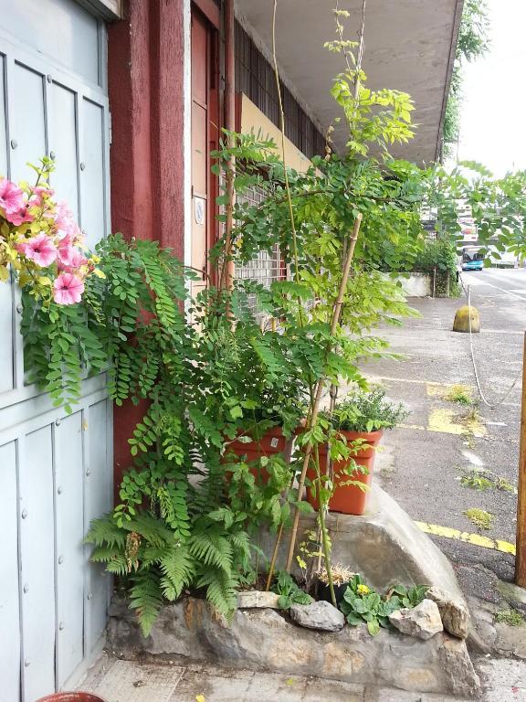 Hotel Lombardia Seveso Rum bild